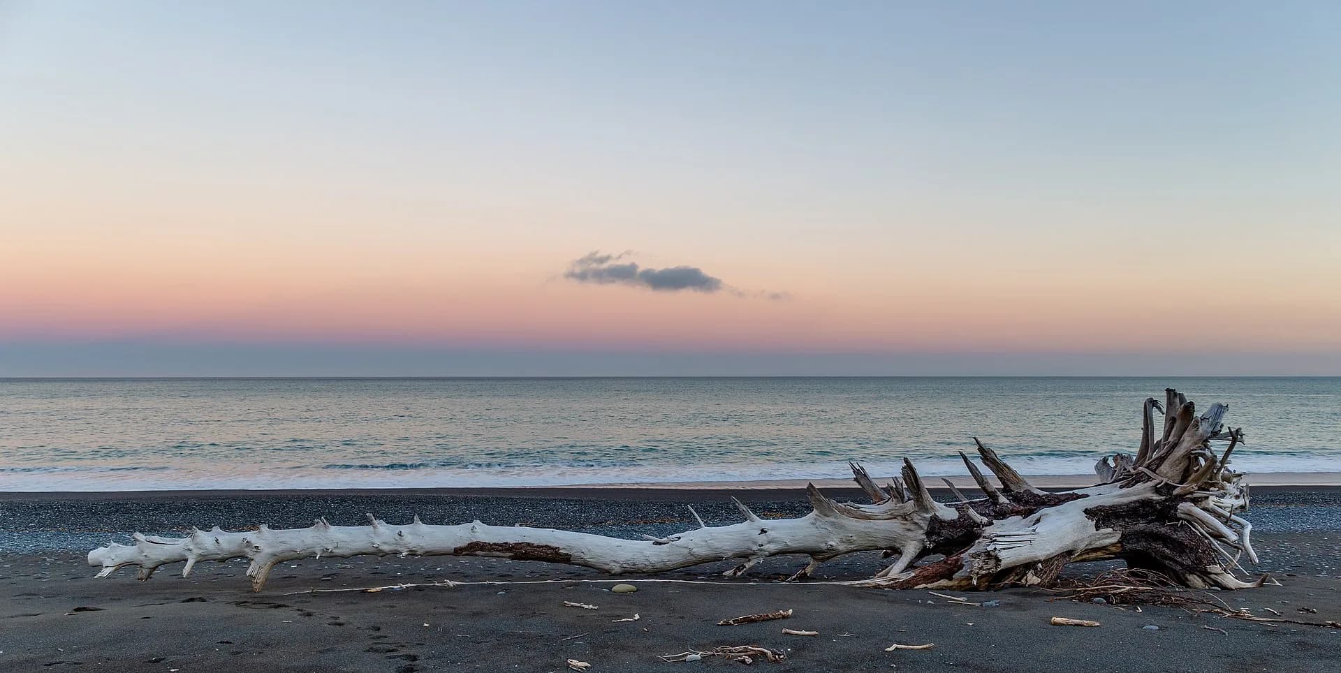 Driftwood on a pebble beach under a pink dusk sky