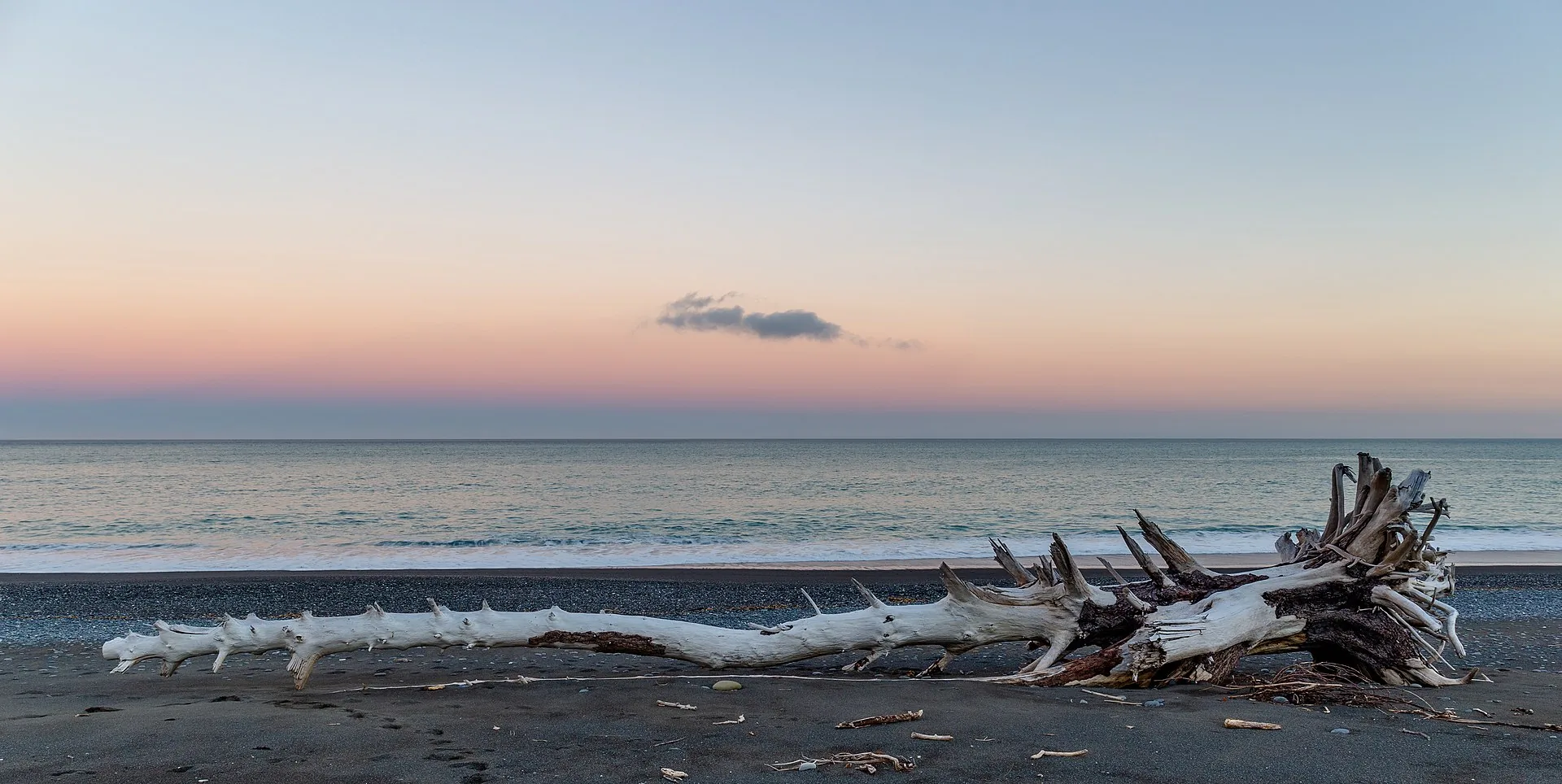 Driftwood on a pebble beach under a pink dusk sky